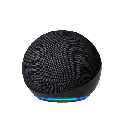 Echo Dot 5th Gen. Smart Speaker - Charcoal for sale online