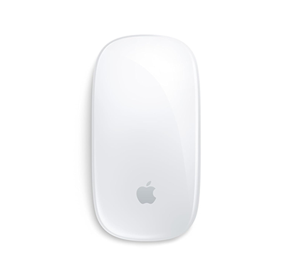 apple magic mouse (mxk53zm/a)