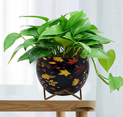 cinagro floral-leaf design planter/flower pot/container with iron stand for home & garden decor/ durable & rust-free/ suitable for indoor & outdoor plants (1 pot & 1 stand, black, gyes(old)en stand)