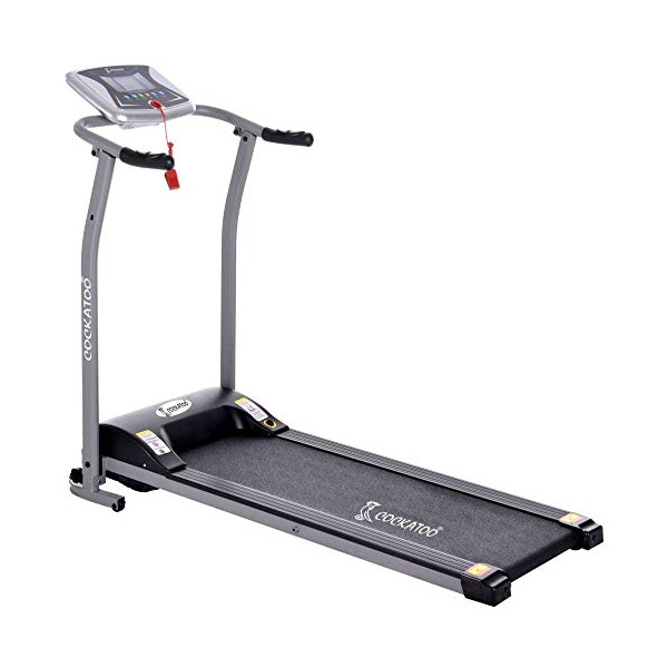 Cockatoo velocity steel dc motorized online treadmill