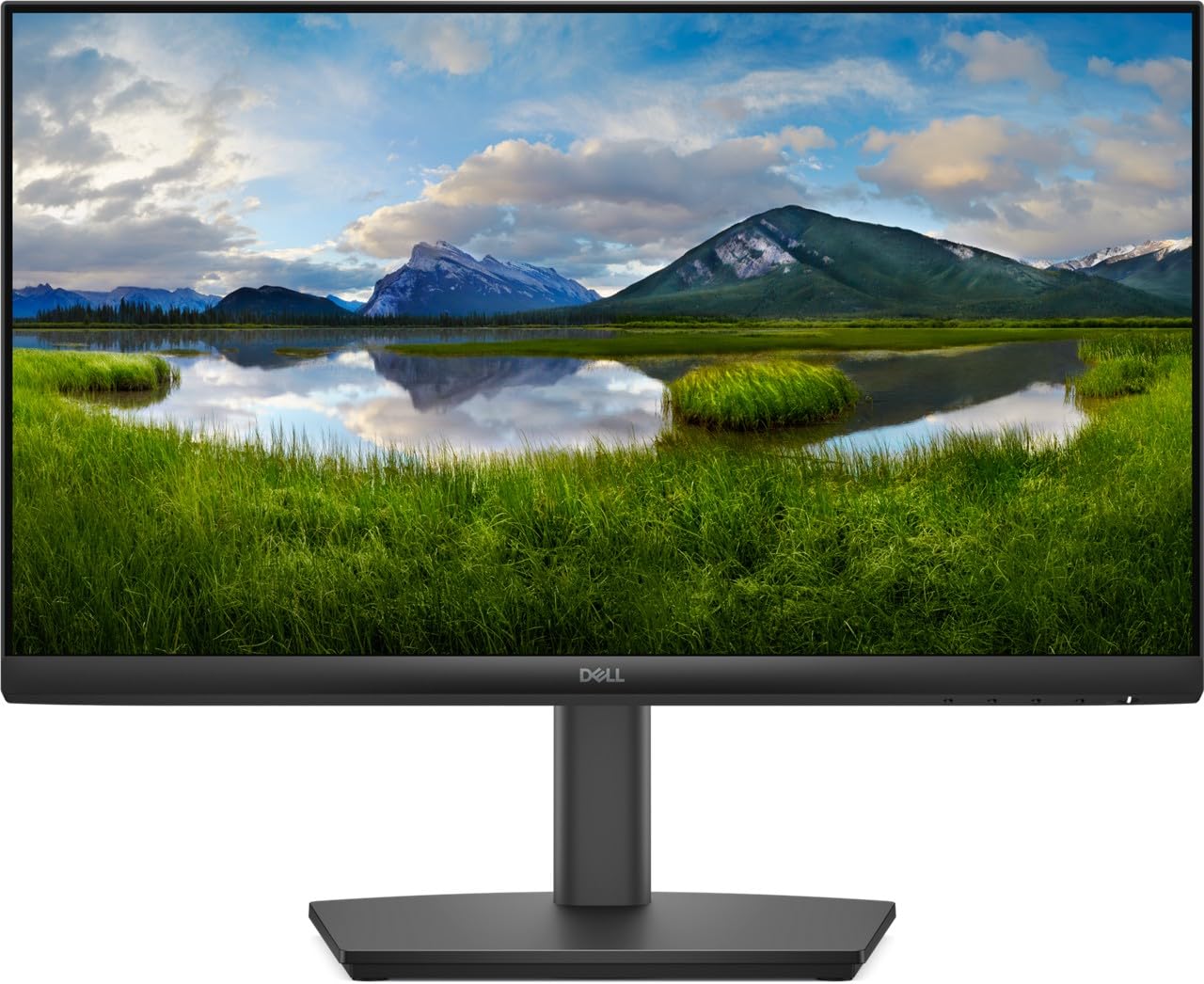 dell (e2225hsm) 21.5 inch fhd led monitor
