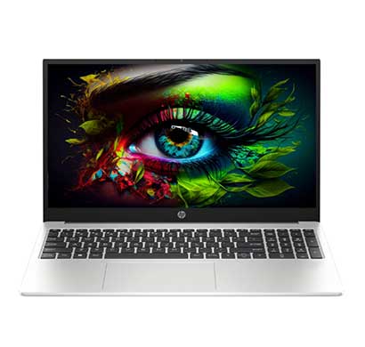 hp 250r g10 (c9117at) laptop ( intel core 5/ 8 gb ram/ 512 gb ssd/ windows 11 pro/ 15.6 inch screen),turbo silver
