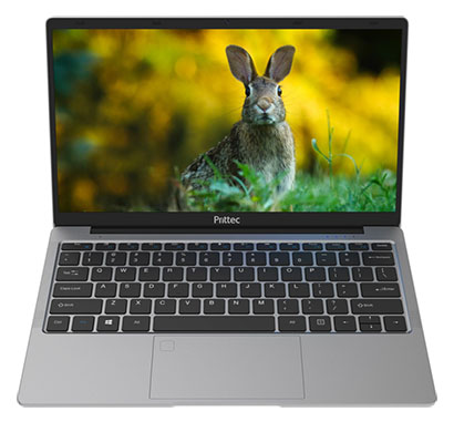 prittec (n140p001) laptop (intel cdc-n4200/8gb/256gb/14.1 fhd/windows 11/light grey/1.3kg), 1 year on-site warranty