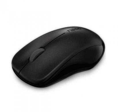 rapoo wireless optical mouse 1620