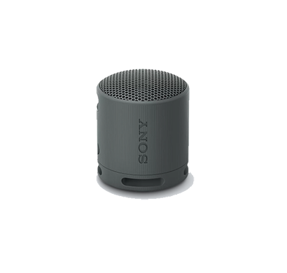 sony srs-xb100 portable bluetooth speaker