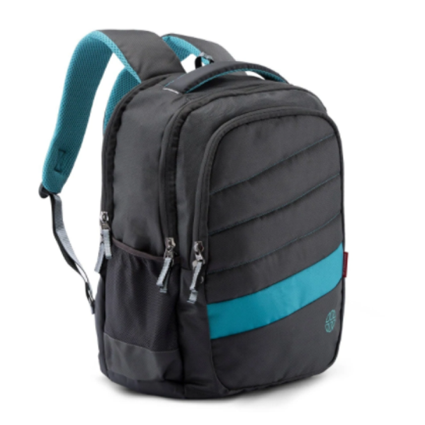 HARISSONS Sloper 35 L Casual Laptop Backpack ( Black)